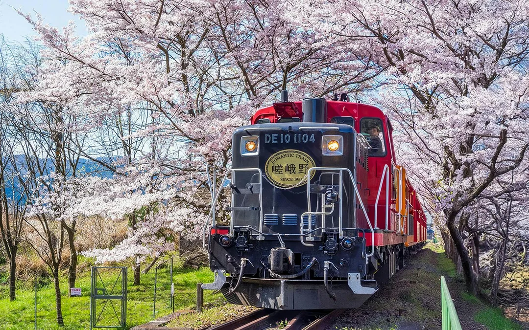 Kyoto Cherry Blossom Day Tour: Sagano Romantic Train, Hozugawa River Boat, and Arashiyama Image 2