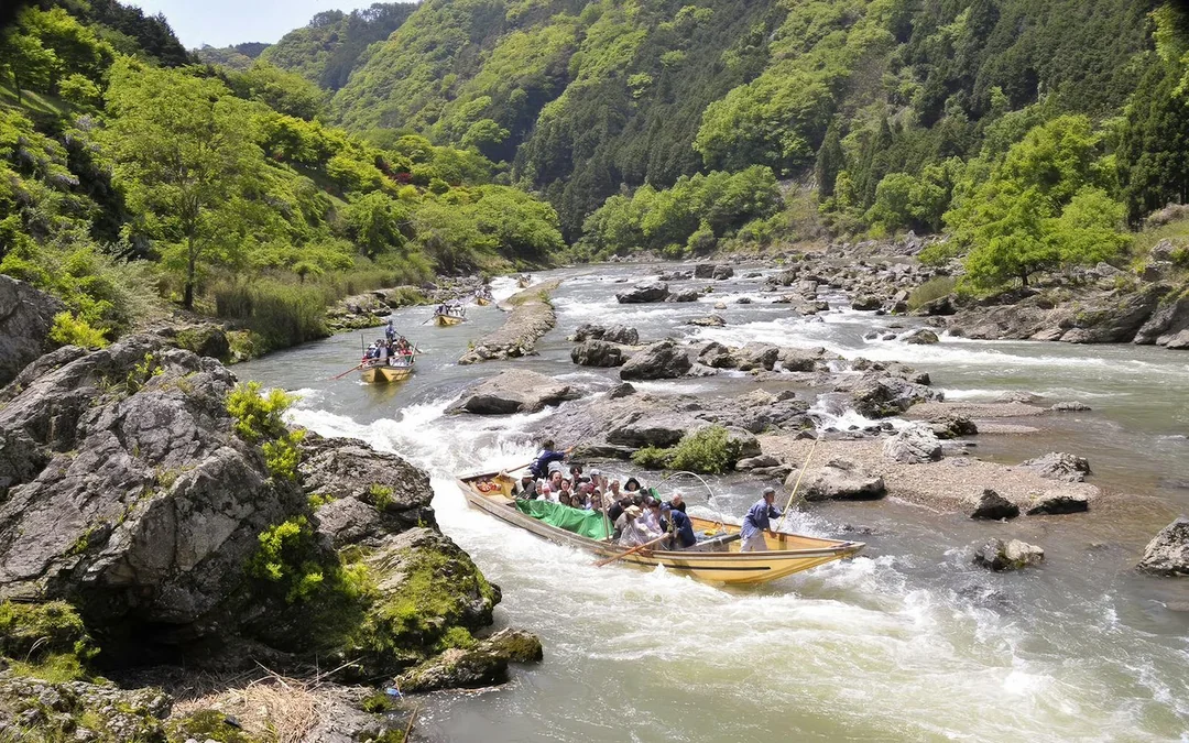 Kyoto Cherry Blossom Day Tour: Sagano Romantic Train, Hozugawa River Boat, and Arashiyama Image 4