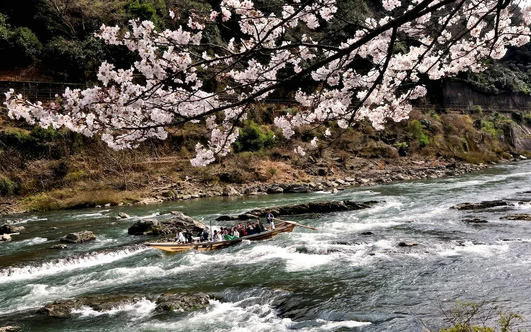 Kyoto Cherry Blossom Day Tour: Sagano Romantic Train, Hozugawa River Boat, and Arashiyama Image 5
