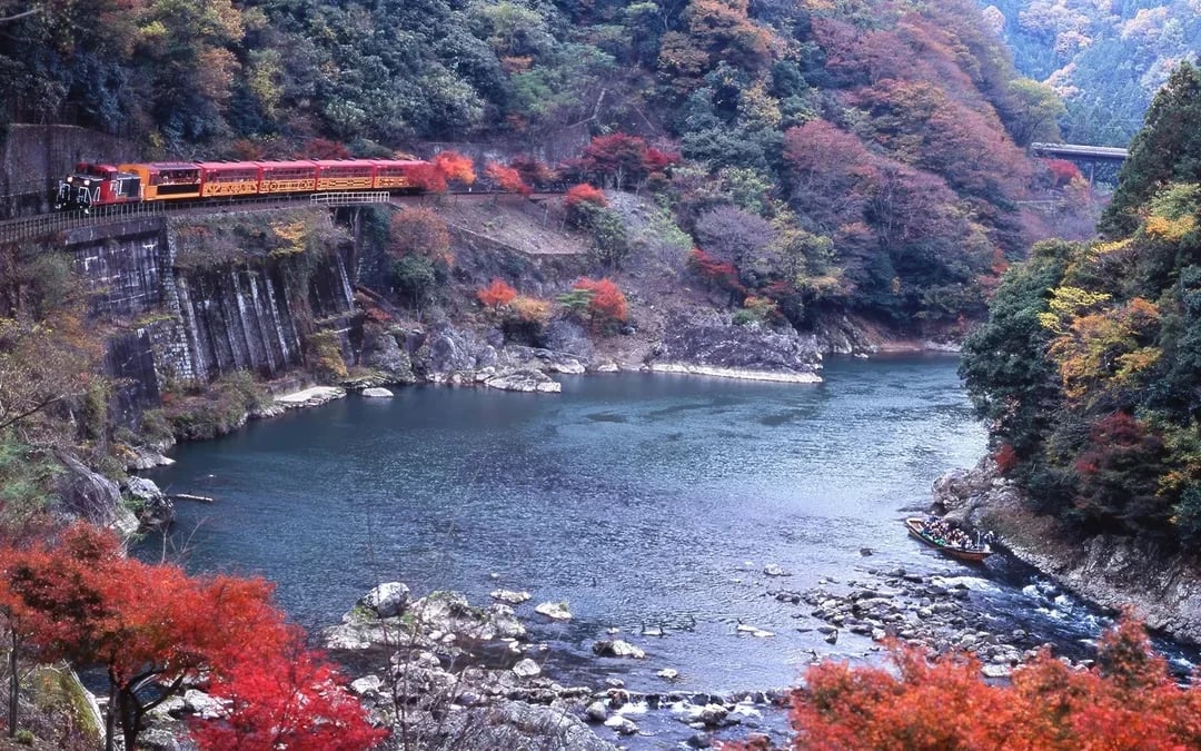 Kyoto Cherry Blossom Day Tour: Sagano Romantic Train, Hozugawa River Boat, and Arashiyama Image 6