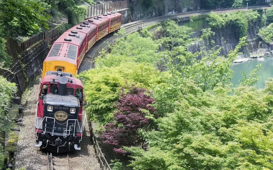 Kyoto Cherry Blossom Day Tour: Sagano Romantic Train, Hozugawa River Boat, and Arashiyama Image 7