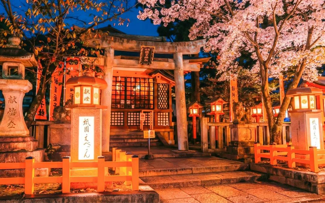 Kyoto Cherry Blossom Night Tour: Hanami, Maruyama Park, Izakaya, and Yasaka Shrine Image 1