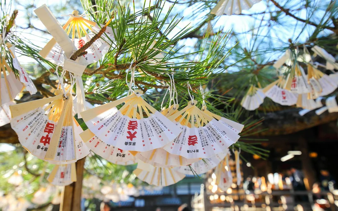 Kyoto Coast Guided Tour: Amanohashidate View & Ine’s Floating Village from Osaka/Kyoto Image 3