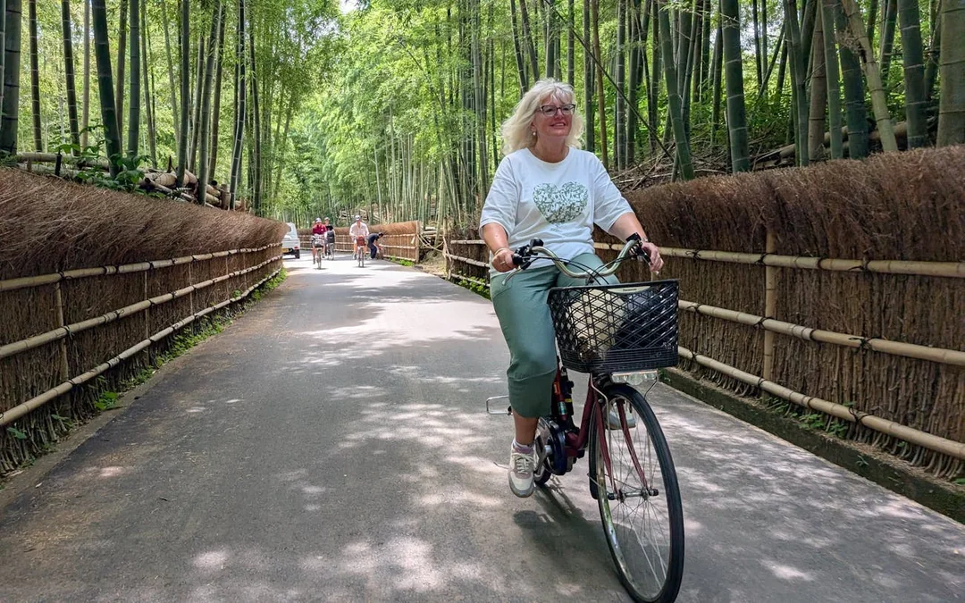 Kyoto E-Bike Tour of Bamboo Forests, Mountain Temples, and Local Sushi Lunch Image 5