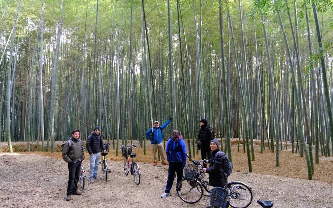 Kyoto E-Bike Tour of Bamboo Forests, Mountain Temples, and Local Sushi Lunch Image 8