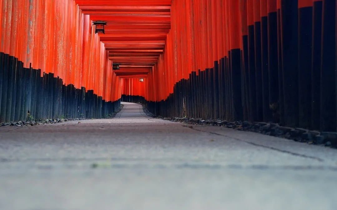 Kyoto Early Morning Guided Tour of Fushimi Inari, Nijo Castle, and Kinkaku-ji Image 2