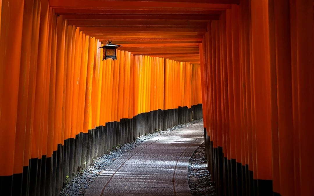 Kyoto Early Morning Guided Tour of Fushimi Inari, Nijo Castle, and Kinkaku-ji Image 3