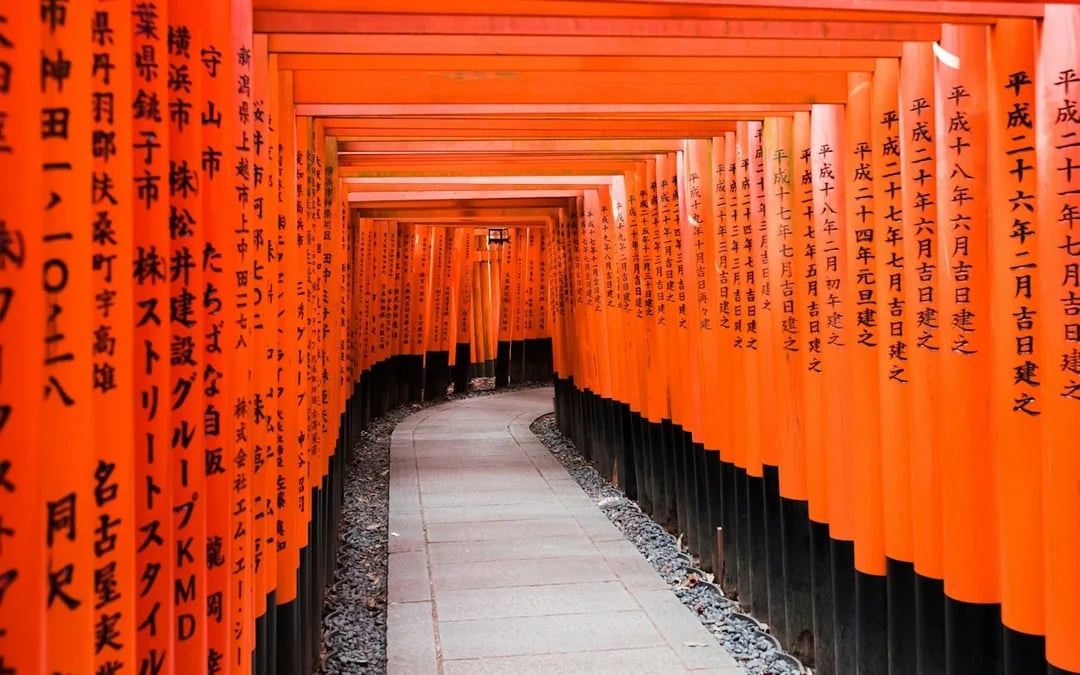Kyoto Early Morning Guided Tour of Fushimi Inari, Nijo Castle, and Kinkaku-ji Image 5