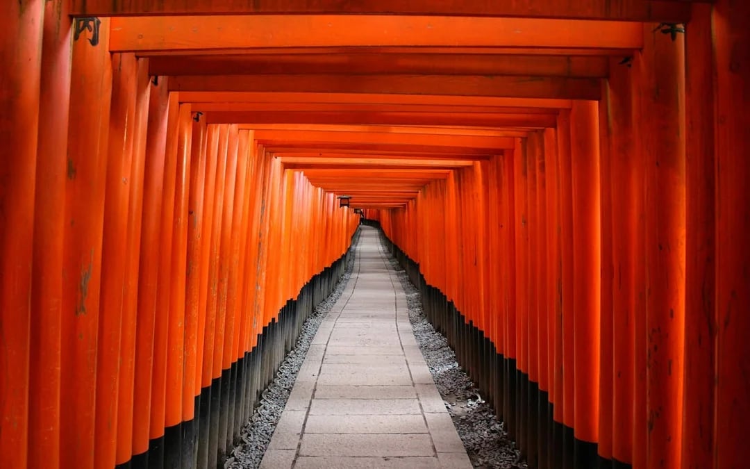 Kyoto Early Morning Guided Tour of Fushimi Inari, Nijo Castle, and Kinkaku-ji Image 7