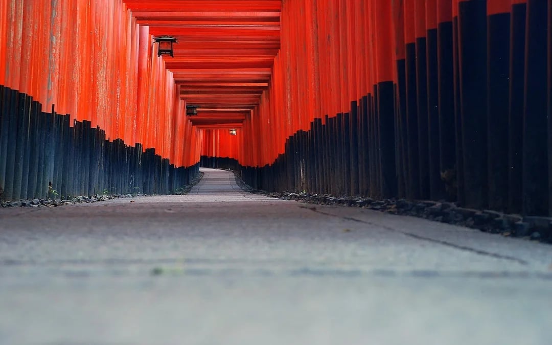 Kyoto Early Morning Walking Tour of Fushimi Inari Shrine and Arashiyama Bamboo Grove Image 2