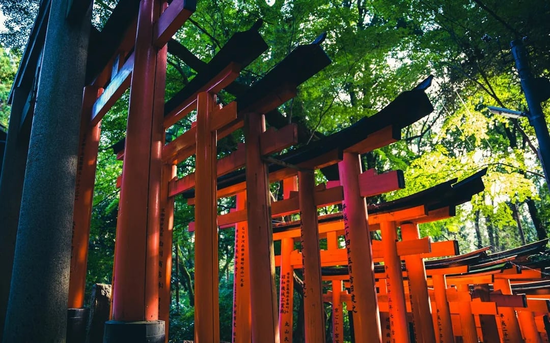 Kyoto Early Morning Walking Tour of Fushimi Inari Shrine and Arashiyama Bamboo Grove Image 3