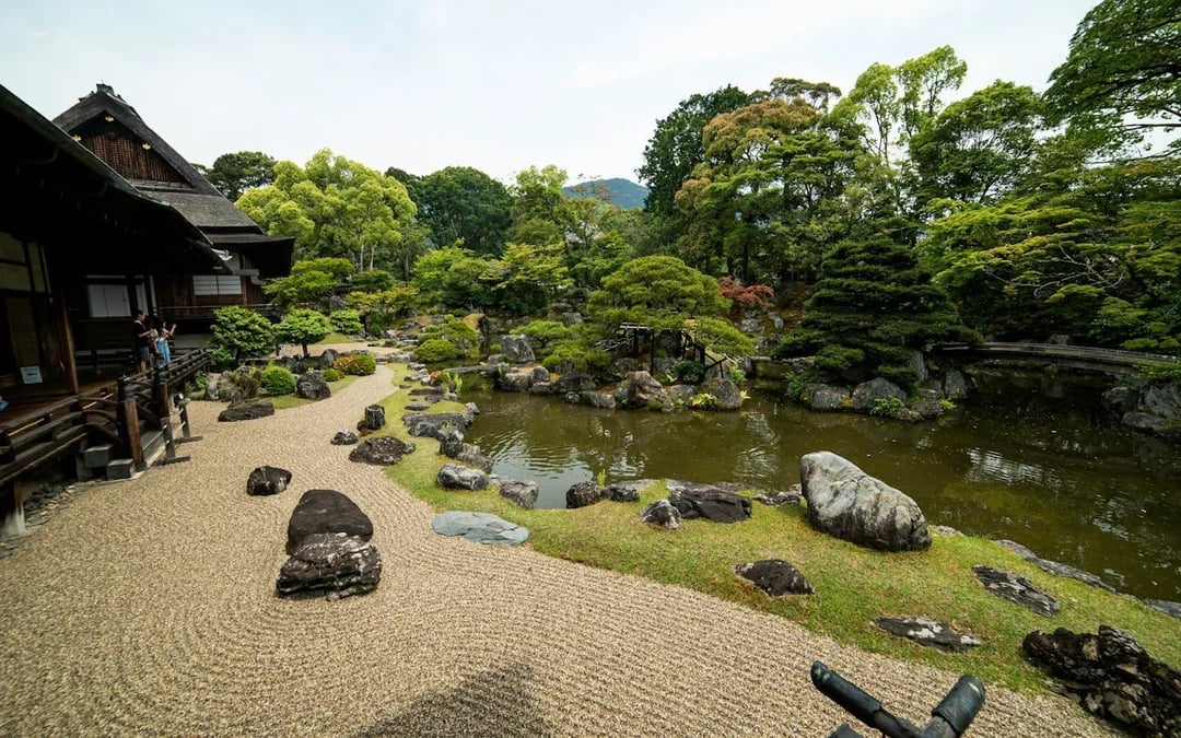 Kyoto Early Morning Walking Tour of Fushimi Inari Shrine and Arashiyama Bamboo Grove Image 4