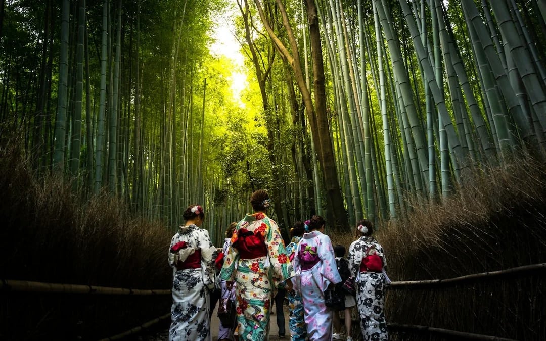 Kyoto Early Morning Walking Tour of Fushimi Inari Shrine and Arashiyama Bamboo Grove Image 5