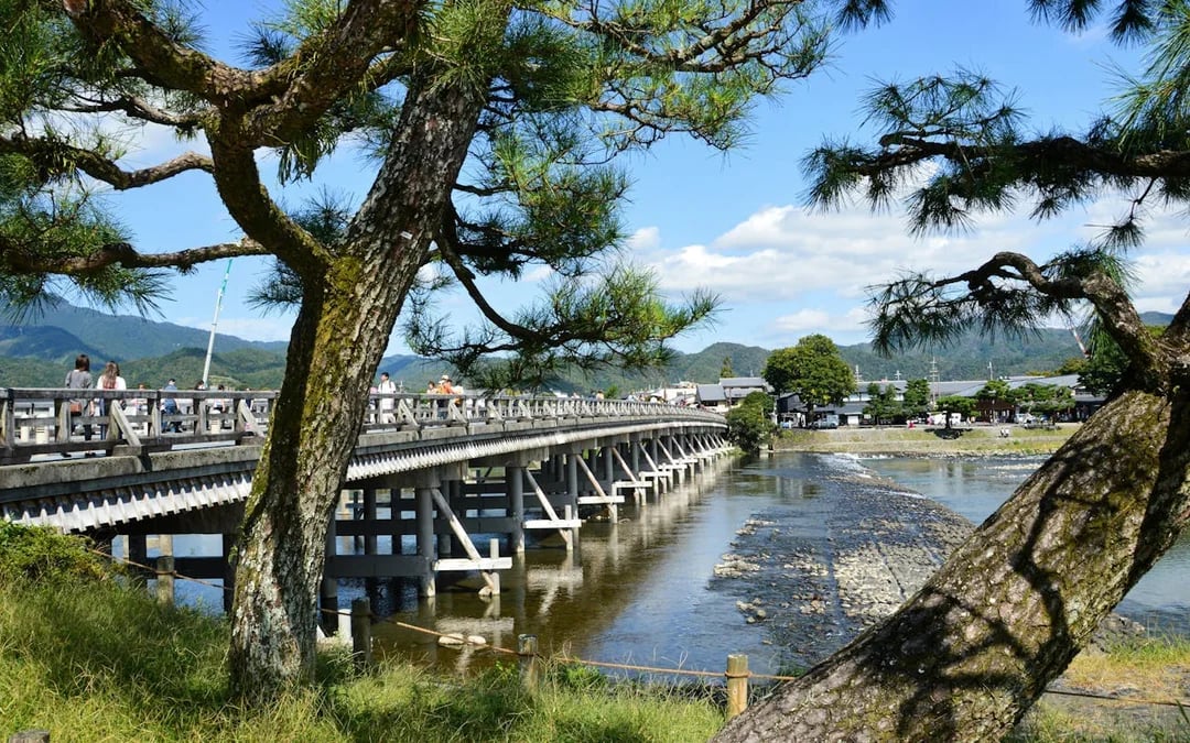 Kyoto Early Morning Walking Tour of Fushimi Inari Shrine and Arashiyama Bamboo Grove Image 6