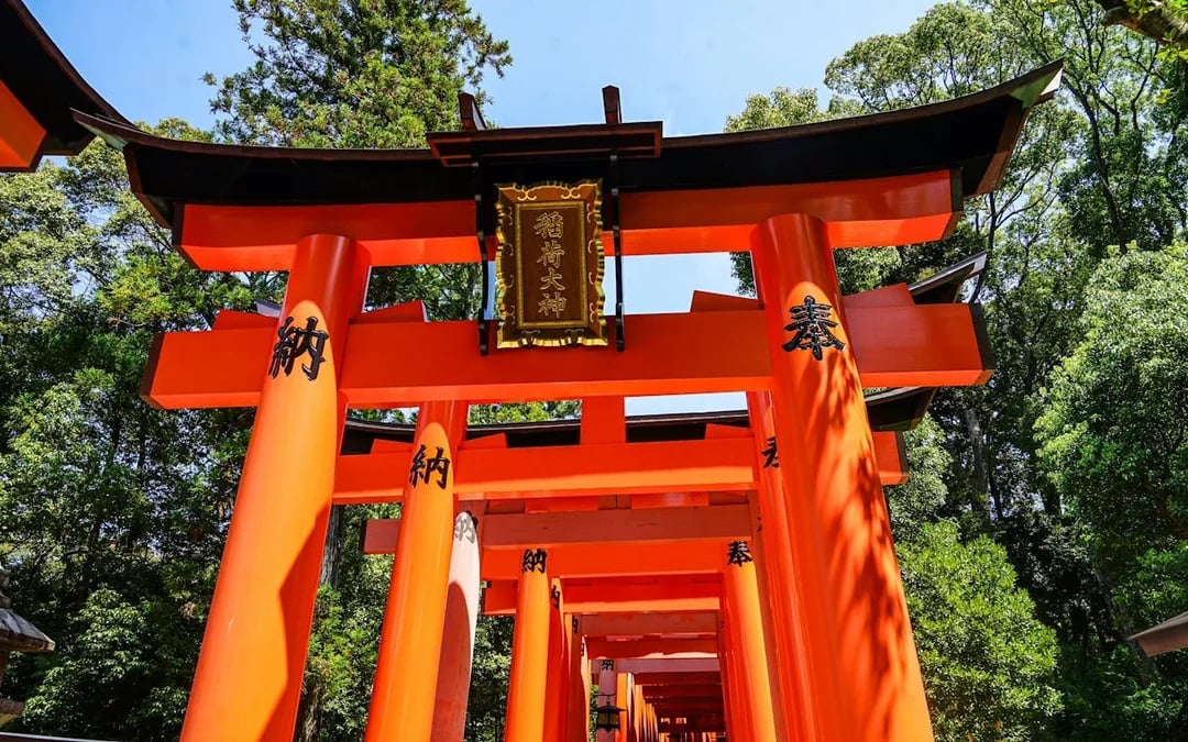 Kyoto Early Morning Walking Tour of Fushimi Inari Shrine and Tofukuji Temple Image 1