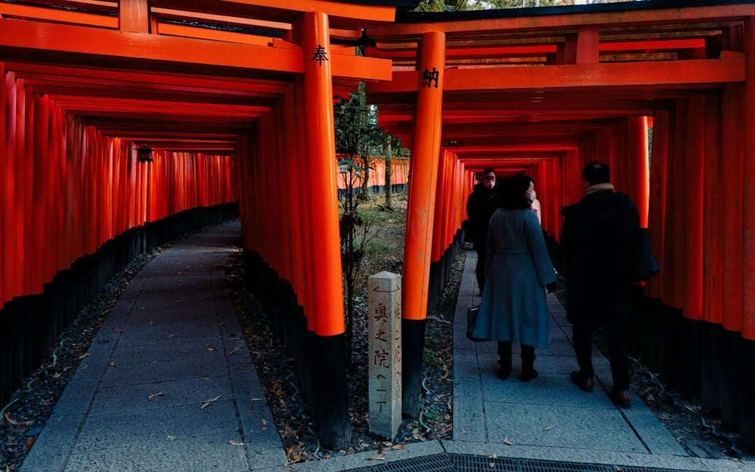 Kyoto Early Morning Walking Tour of Fushimi Inari Shrine and Tofukuji Temple Image 2