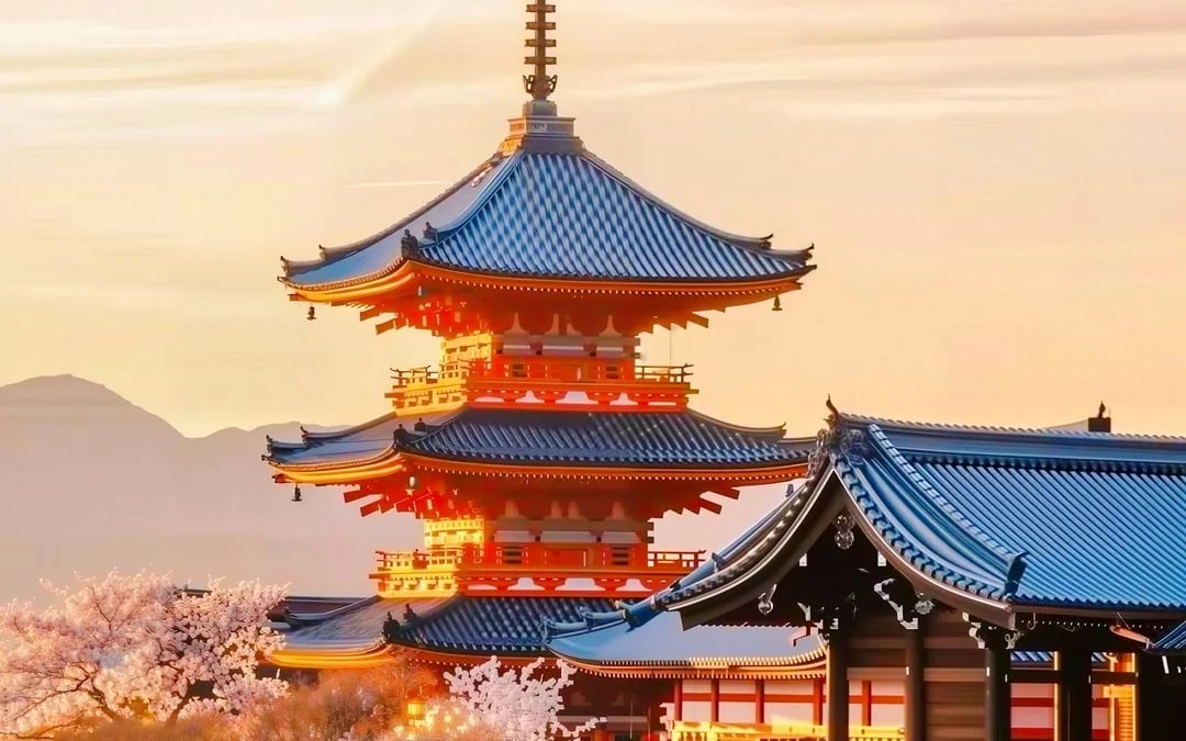 Kyoto Full-Day Private Charter Tour with Hotel Pickup from Osaka or Kyoto Image 8