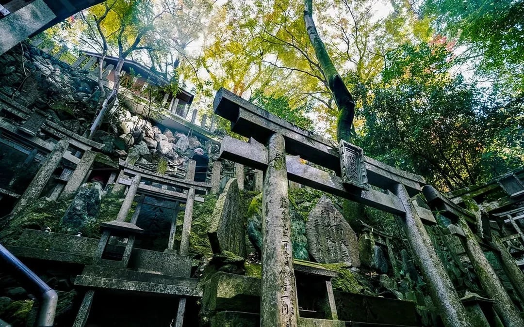 Kyoto Fushimi Inari Hidden Waterfall: Sacred Takigyo Ritual Experience Image 3