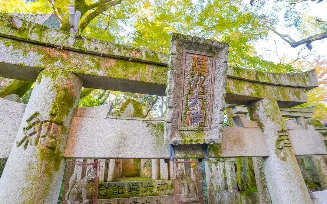 Kyoto Fushimi Inari Hidden Waterfall: Sacred Takigyo Ritual Experience Image 10