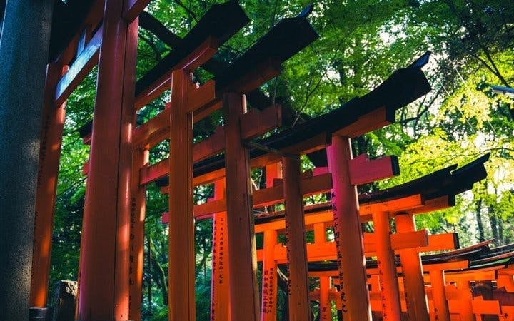 Kyoto Guided Morning Tour of Fushimi Inari Shrine and teamLab Bio-Vortex with Admission Ticket Image 4