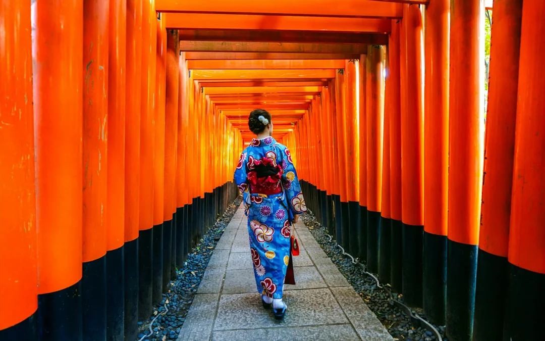 Kyoto Guided Tour: Bamboo Grove, Shrines & Nara Park from Osaka Image 4