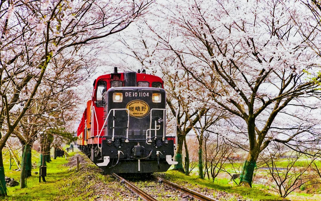 Kyoto Guided Tour: Bamboo Grove, Shrines & Nara Park from Osaka Image 5