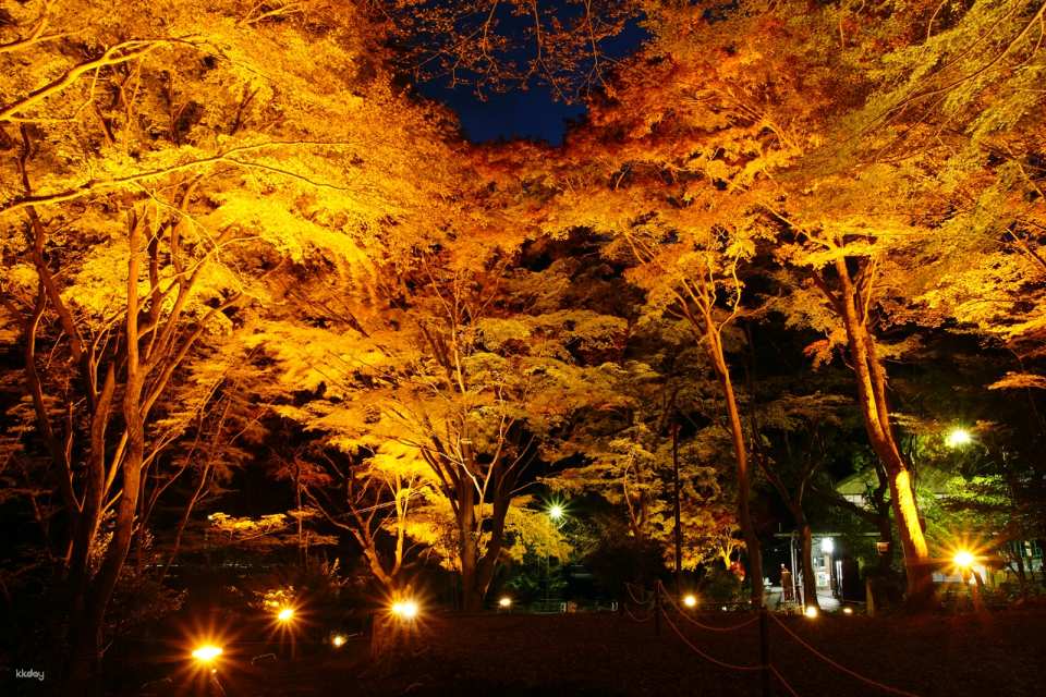 Kyoto, Japan|Eizan Cable Car・Ropeway|Round trip・One way ticket