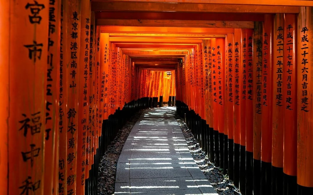 Kyoto Night Walking Tour of Fushimi Inari, Gion, and Izakaya Food Experience Image 2