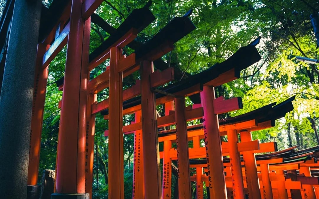 Kyoto Night Walking Tour of Fushimi Inari, Gion, and Izakaya Food Experience Image 5