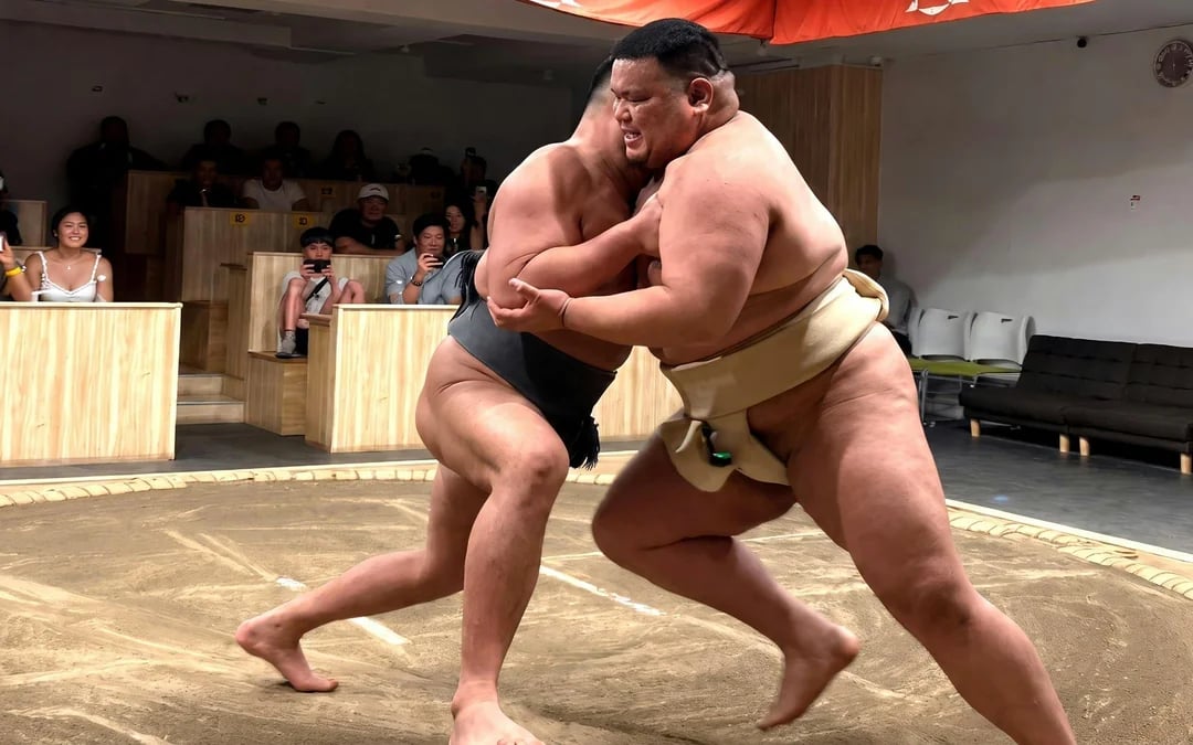  Kyoto Sumo Show with Drinks and Photo Image 6