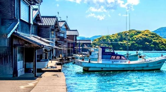 Kyoto Tango Sea Train + Amanohashidate + Ine Boat Houses 1-day tour, including train fare and optional boat ride