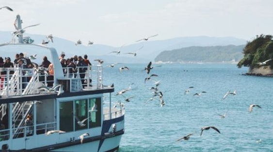 Kyoto Tango Sea Train + Amanohashidate + Ine Boat Houses 1-day tour, including train fare and optional boat ride