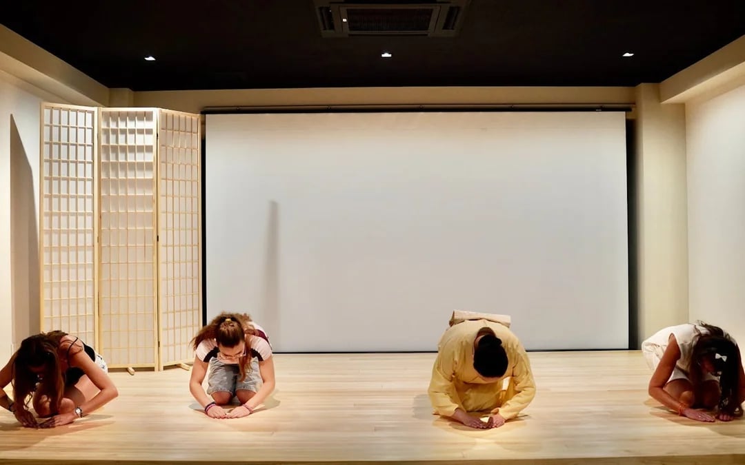 Kyoto: Traditional Japanese Dance Workshop with Certificate Image 8