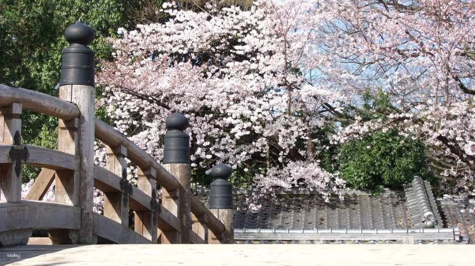 Kyoto | UZUMASA KYOTO VILLAGE Admission Ticket
