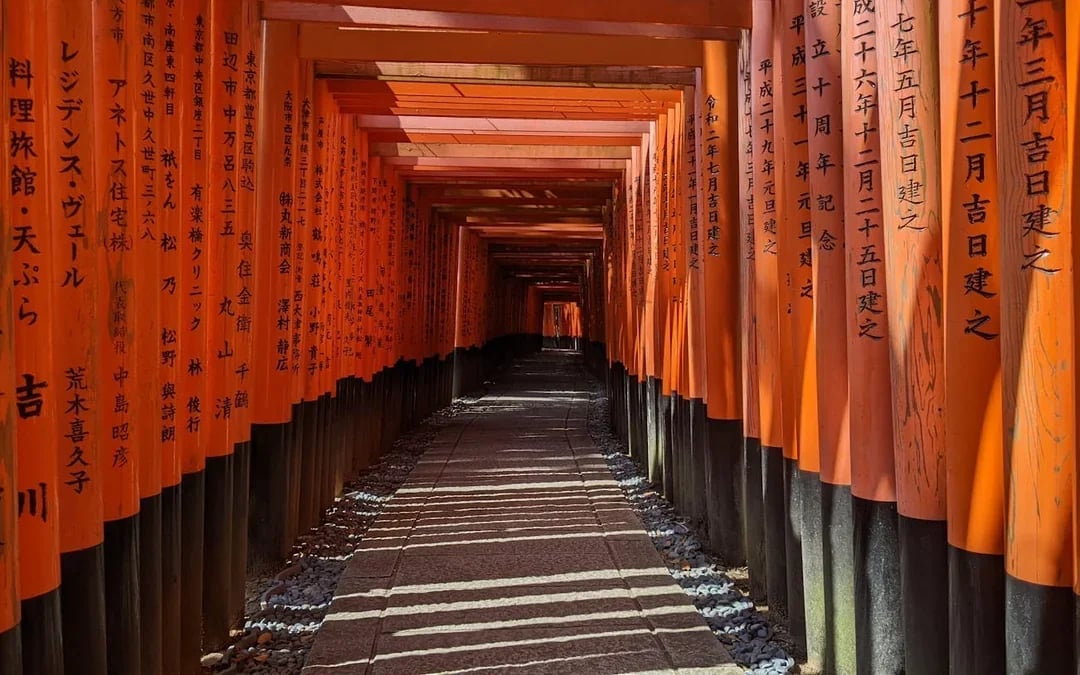 Kyoto Walking Tour of Fushimi Inari, Arashiyama, Monkey Park, and Golden Temple Image 2