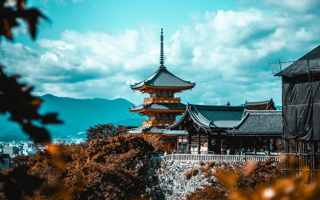 Kyoto Walking Tour: teamLab Biovortex, Kiyomizu-dera & Gion District Guided Experience Image 6