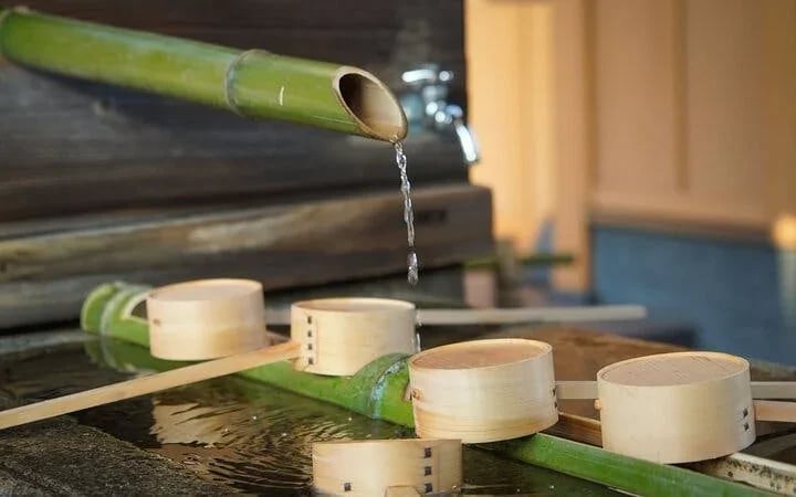 Kyoto Zen Meditation and Garden Tour with Shojin Lunch at Historic Temple Image 7