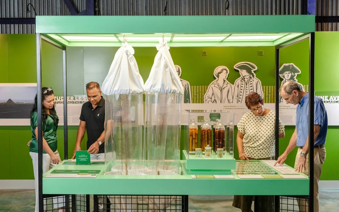 L'Aventure du Sucre Museum Tickets with Sugar and Rum Tastings Image 9