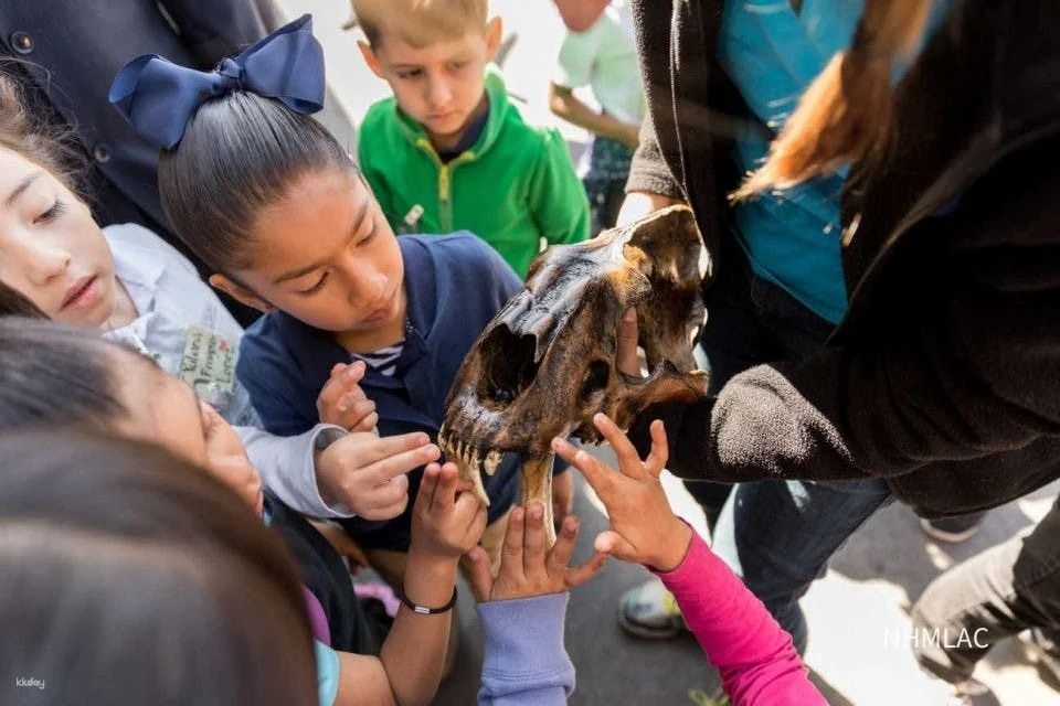 La Brea Tar Pits Museum Ticket｜Los Angeles