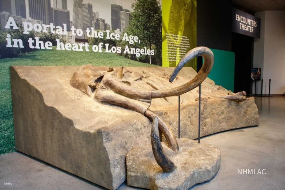 La Brea Tar Pits Museum Ticket｜Los Angeles