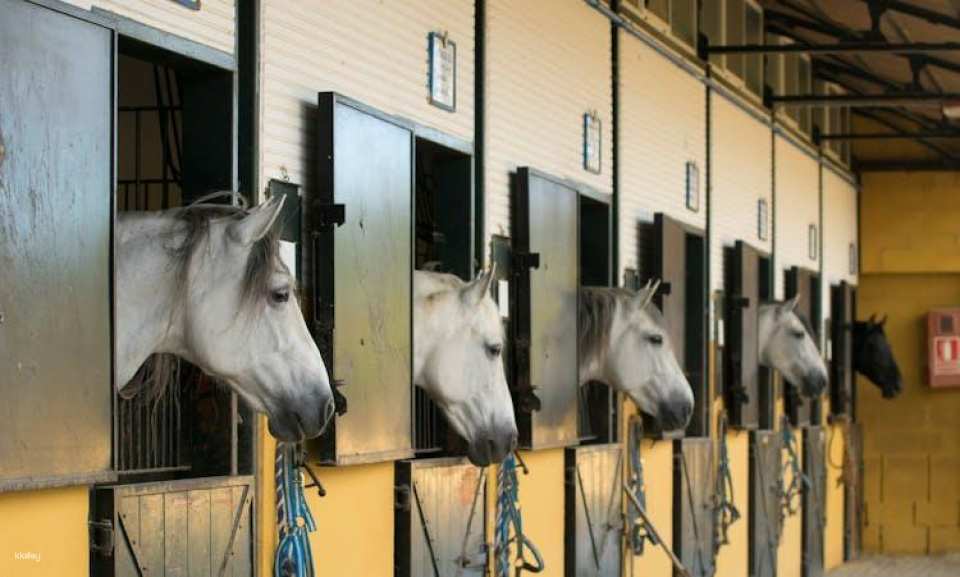 La Cartuja Stud Farm Ticket