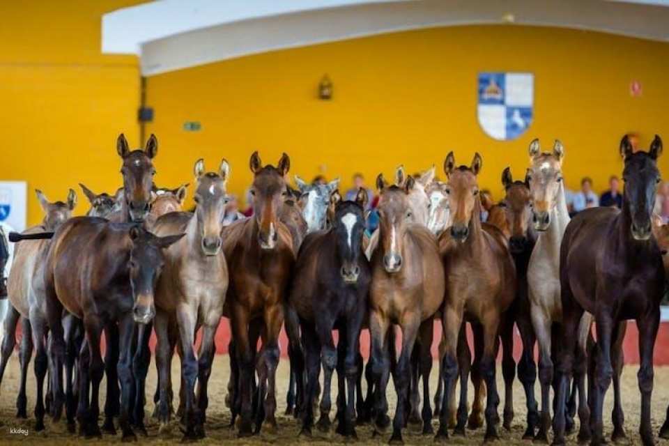 La Cartuja Stud Farm Ticket