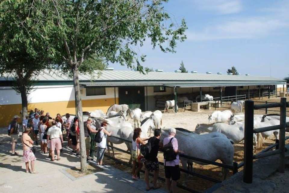 La Cartuja Stud Farm Ticket