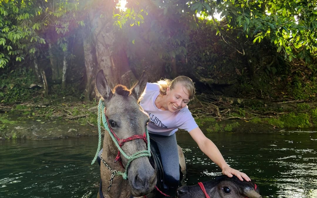 La Fortuna Horseback Riding Tour with River Crossing Image 5