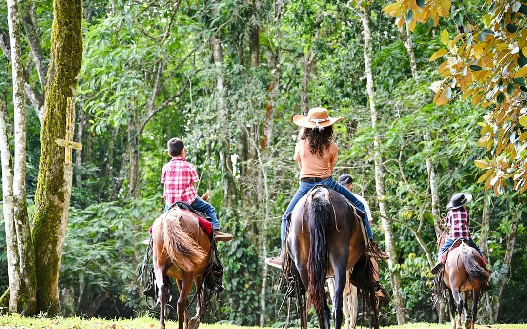 La Fortuna Horseback Riding Tour with River Crossing Image 6