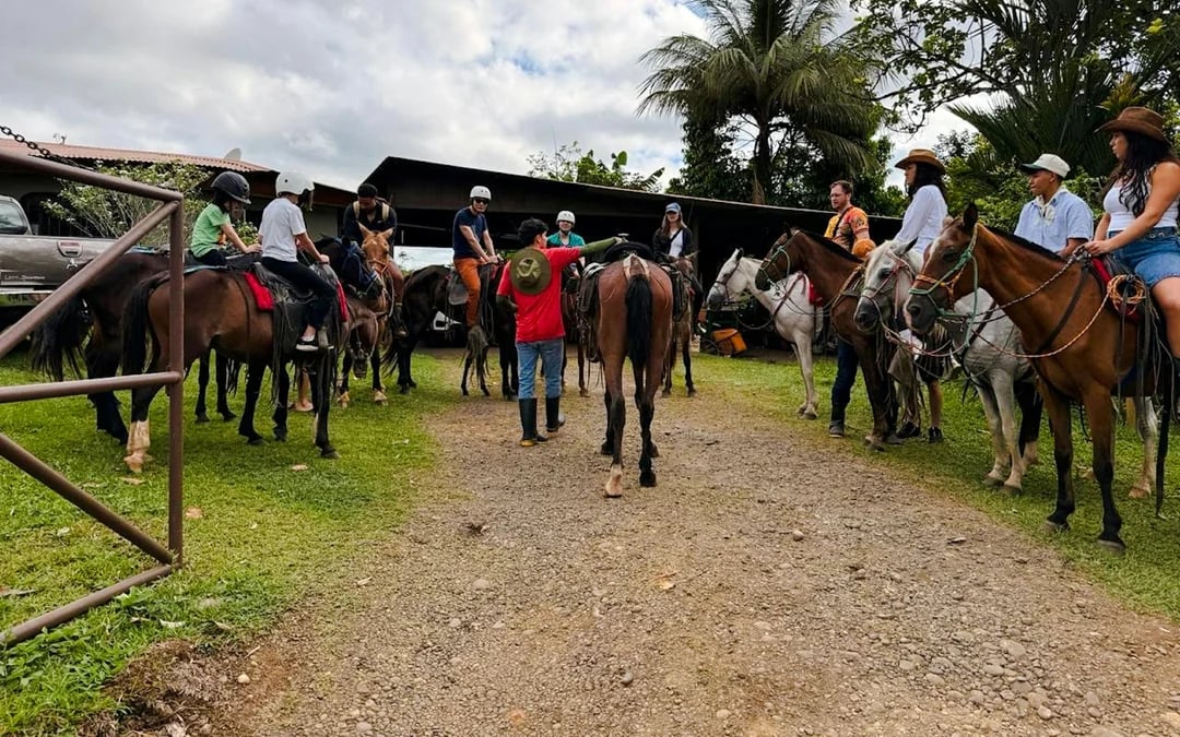 La Fortuna Horseback Riding Tour with River Crossing Image 7