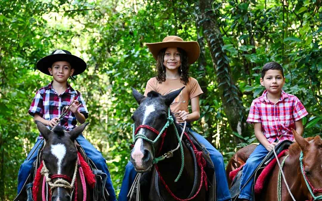 La Fortuna Horseback Riding Tour with River Crossing Image 8