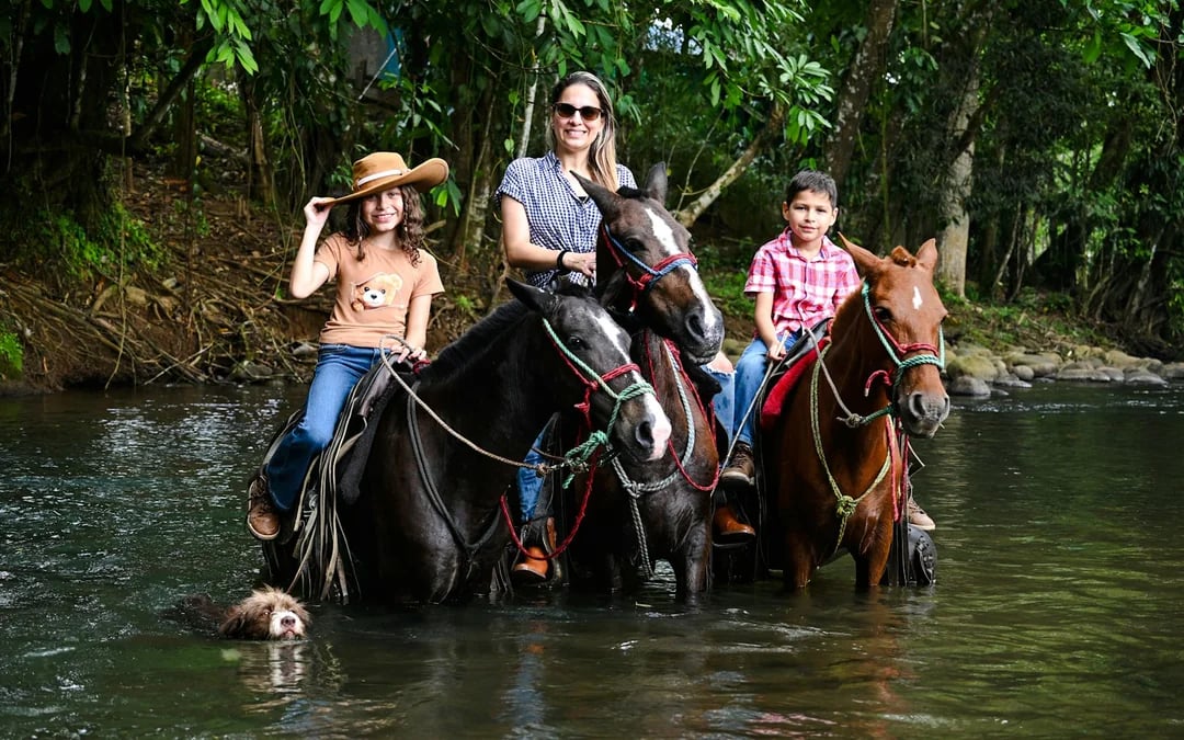 La Fortuna Horseback Riding Tour with River Crossing Image 9