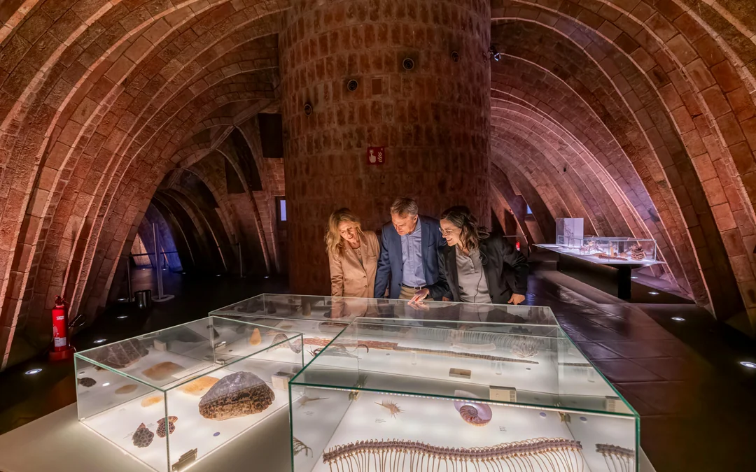 La Pedrera: Premium Small-Group Tour with Exclusive Access & Cava Image 2