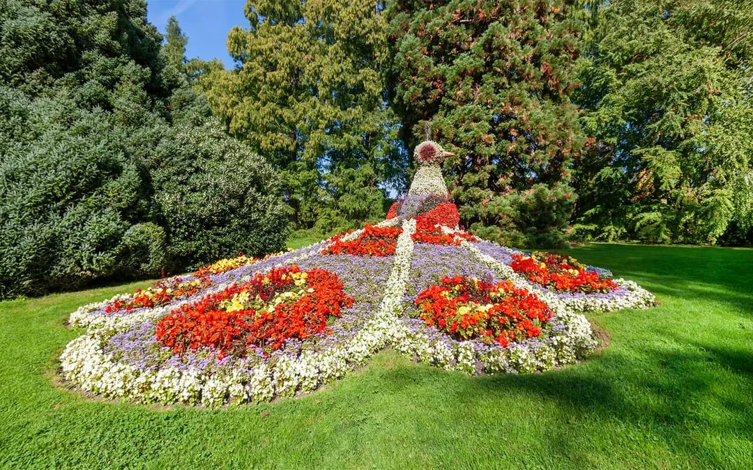 Lake Constance: Mainau Flower Island Entry Tickets Image 1